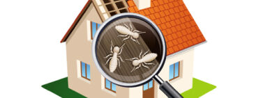 Home inspection and or a FREE termite inspection